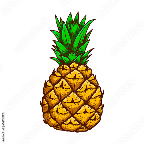 Illustration of pineapple in engraving style. Design element for logo, label, emblem, sign, badge. Vector illustration