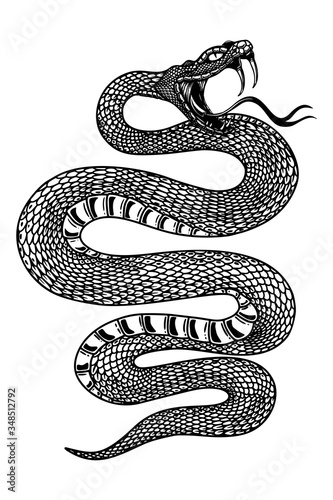 Illustration of poisonous snake  in engraving style. Design element for logo, label, emblem, sign, badge. Vector illustration