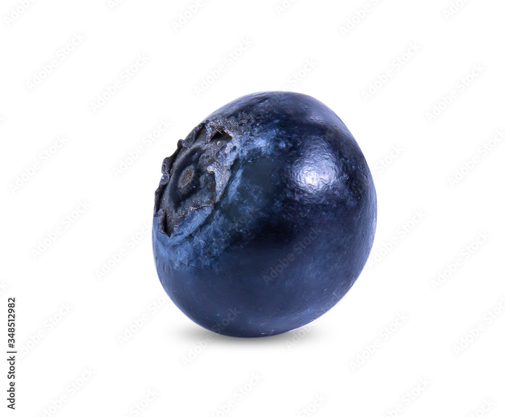blueberry fruit isolated on white background blueberry fruit isolated on white background