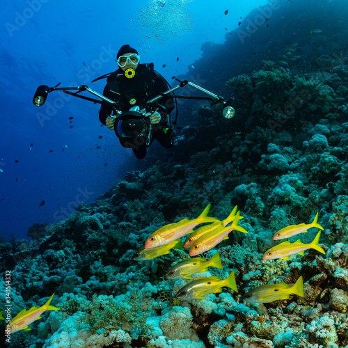 school of black and yellow longspot snapper fish and underwater photographer diver