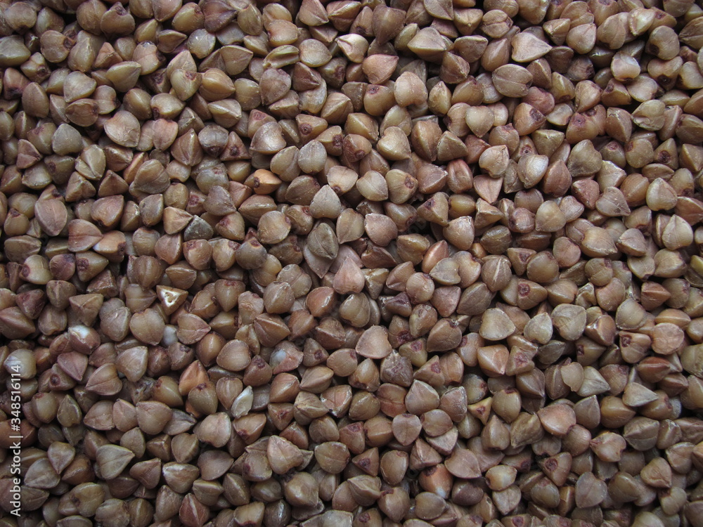 Close-up buckwheat grains in full frame.  Cereal abstract background 