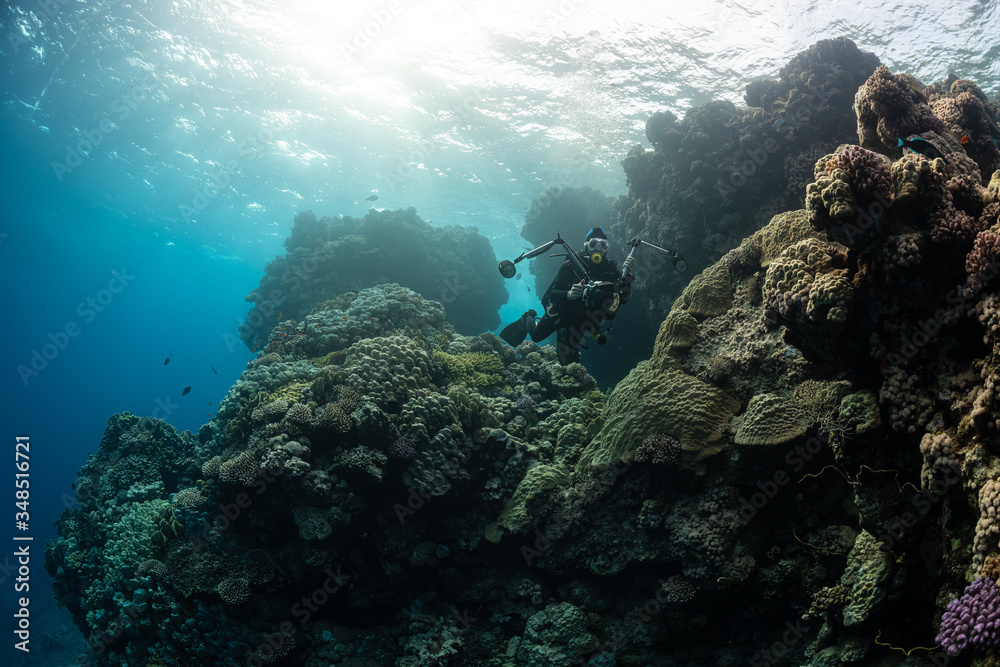 typical Red Sea tropical reef with hard and soft coral surrounded by school of orange anthias and a underwater photographer diver