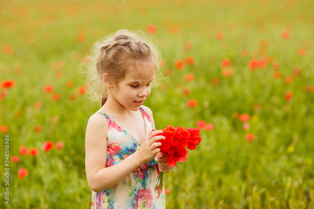 Beautiful child picking flowers in poppy field Beautiful child picking flowers in poppy field