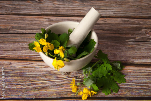 Fresh celandine with leaves and flowers in a porcelain mortar with a pestle close-up on a wooden background. Alternative medicine  medicinal herbs. Selective focus.