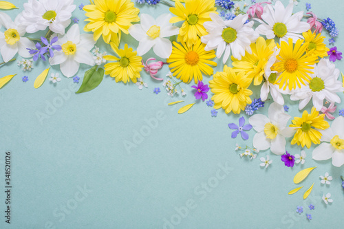 beautiful flowers on blue paper background