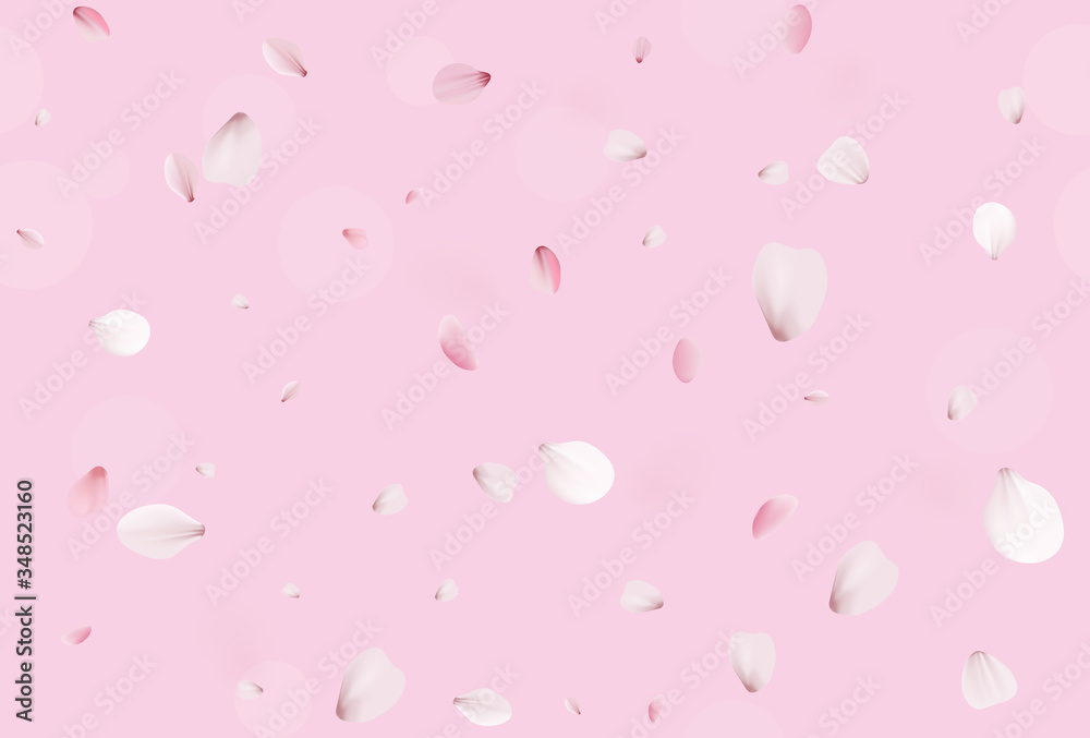 Sakura petals. Pink cherry blossom. Sakura petals. Pink cherry blossom.