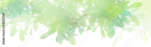 Watercolor with green leaves background, Nature concept, vector.