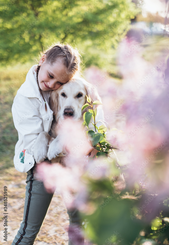 Selective focus. Close-up portrait of a beautiful girl with two pigtails in white jacket. She is hugging her golden retriever and smiling. Lilac bush on the foreground. Sunset light. Selective focus. Close-up portrait of a beautiful girl with two pigtails in white jacket. She is hugging her golden retriever and smiling. Lilac bush on the foreground. Sunset light.