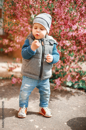 a child dressed in jeans standing near a flowering Bush with pink flowers with a dandelion in his hands
