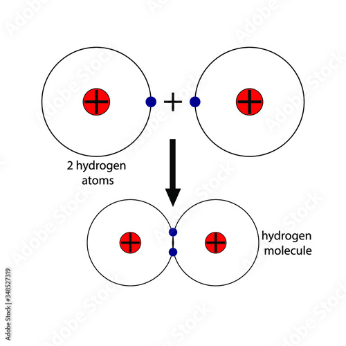 Hydrogen molecule, science chemistry atoms and ions vector stock