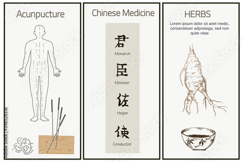 Chinese medicine, herbs and hieroglyphs of traditional chinese medical rules, zhen shen root and herbs vector illustration banner. Alternative medicine.