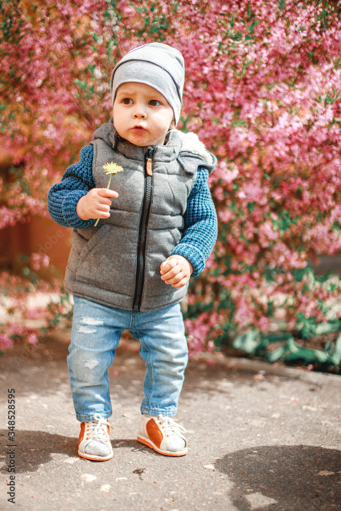a child dressed in jeans standing near a flowering Bush with pink flowers with a dandelion in his hands a child dressed in jeans standing near a flowering Bush with pink flowers with a dandelion in his hands