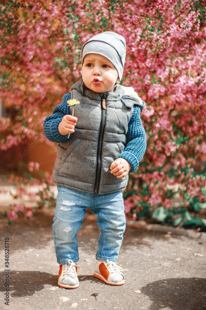 a child dressed in jeans standing near a flowering Bush with pink flowers with a dandelion in his hands a child dressed in jeans standing near a flowering Bush with pink flowers with a dandelion in his hands