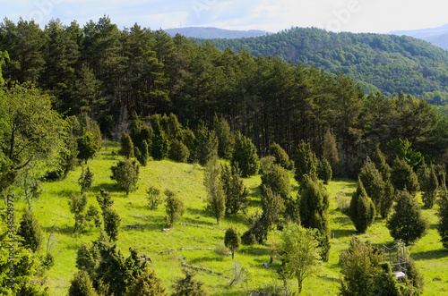wacholderheide nähe roßbach in nordhessen , mittelgebirgslandschaft , standort für seltene orchideeen