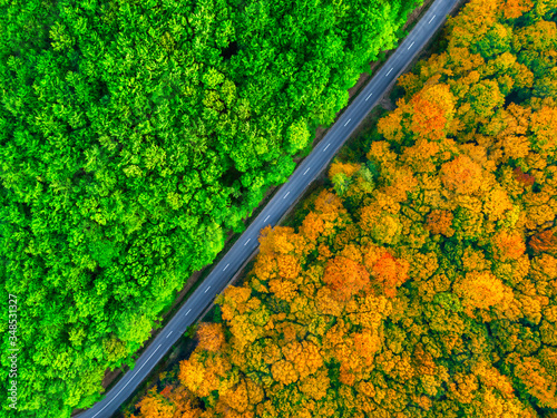 Road splitting thick forest in two seasons. Autumn and summer, aerial view