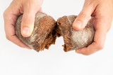 Tasty bun made of rye flour teared by hands. Homemade brown loaf and pastry for snack isolated on white background. Studio shot. Top view. Home culinary and baking concept