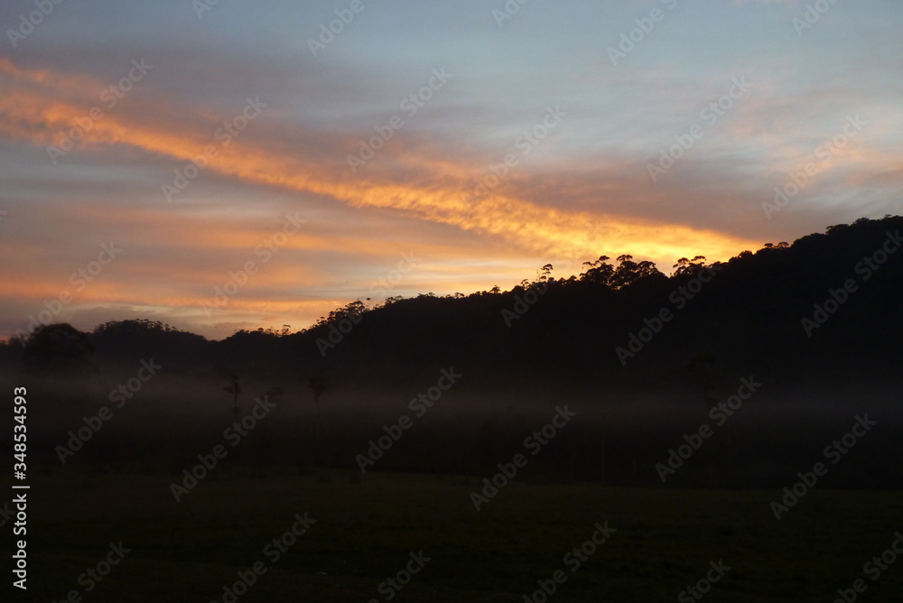 Silhouette of trees on top of hill, with orange light, of sunrise, in the clouds, Serra da Bocaina National Park, São Paulo, Brazil
