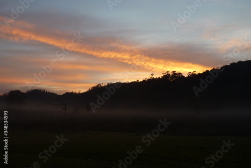 Silhouette of trees on top of hill, with orange light, of sunrise, in the clouds, Serra da Bocaina National Park, São Paulo, Brazil