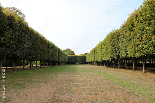 public park in compiègne (france) photo