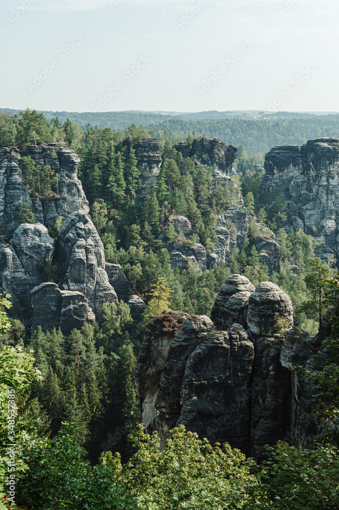 Background. Bastei rock formations, Germany Saxon Switzerland National park, Germany. Close photo, summer morning landscape on the rocks with trees. Background. Nature of Europe. Vertical