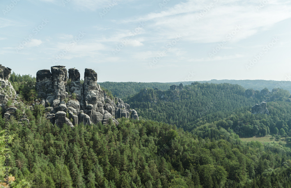 Morning View of Sandstone Rocks in Saxon Switzerland in summer, Germany, Dresden. Green landscape on untouched nature, rocks with trees. Background. Nature of Europe. Copy space.
