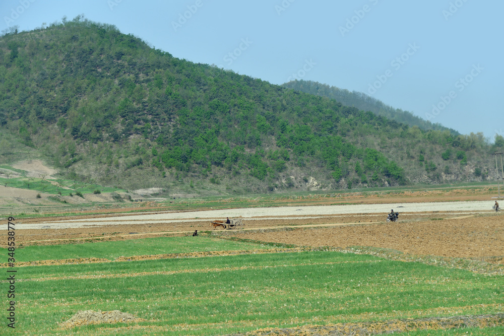 Obraz premium North Korea. Countryside