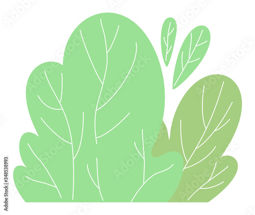 Vector cartoon icon isolated at white background. Green bush icon. Illustration of green plant. Decoration for park or garden. Nature concept. Flat style icon or logo for using at websites or apps