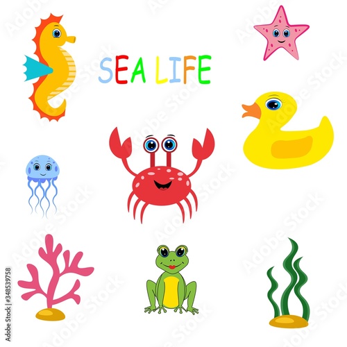 Cute colorful sea animals. Marine life. Ocean wildlife . Octopus  whale  seahorse  jellyfish frog  turtle  crub  clown fish  sea star.