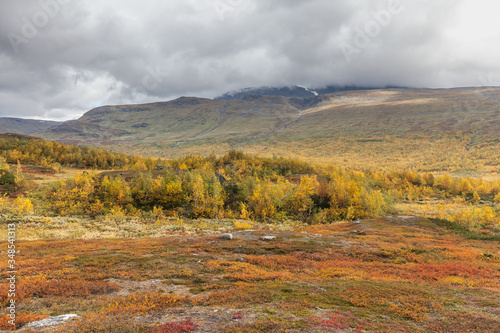 View to Sarek National Park in autumn, Sweden, selective focus © Tatiana