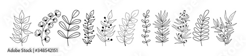 Set of black silhouettes of tropical leaves on an isolated white background. Botanical tree branches, palm leaf on the stem. Spring summer leaf. Concept design logo icons. Vector illustration.