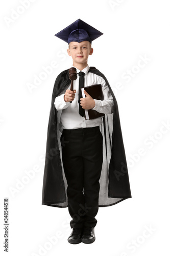 Portrait of little judge on...