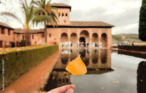 Autumn leaf and front of famous 14th century fortress complex of Alhambra  example of historical arabic architecture  Granada city of Spain