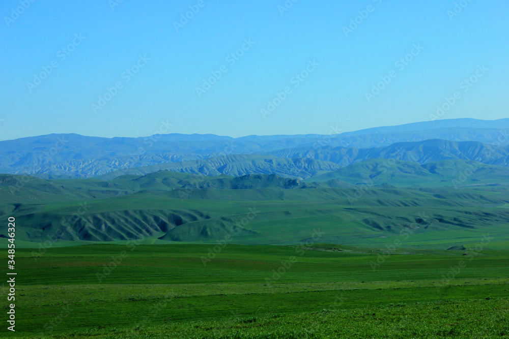Beautiful, spring mountains in the green grass.