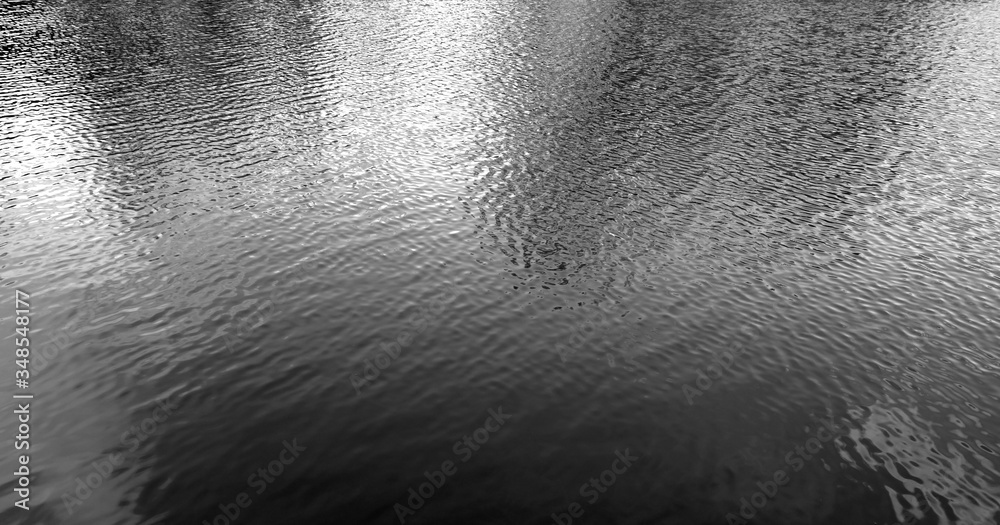 Fototapeta premium Reflection of trees and clouds in forest lake water. Black and white