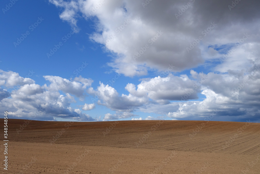 Cultivated agricultural field and cloudy sky. Cultivated agricultural field and cloudy sky.