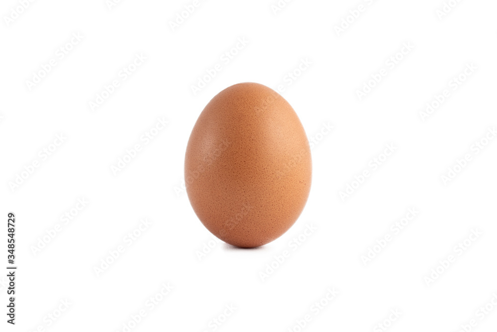 chicken egg isolated on white background chicken egg isolated on white background
