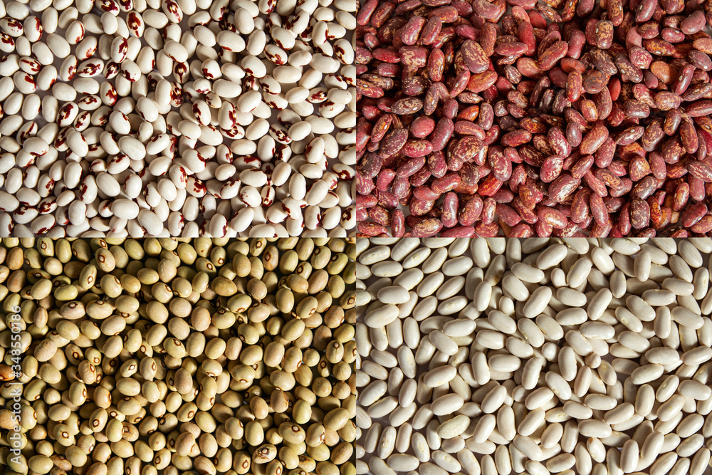 Obraz premium Background of four types of beans: red, white, green and soldier beans