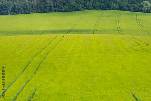 Moravian fields in the Czech Republic