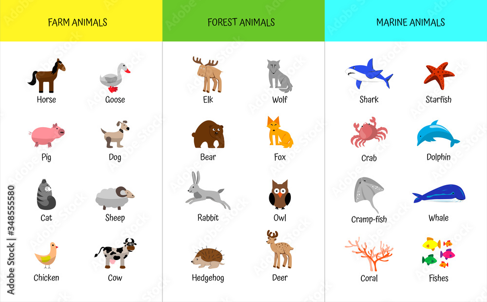 Farm, forest, sea marine animals set. Educational flashcard for  preschoolers. Home study of zoology. Goose, cow, wolf, fox, stingray,  whale, dolphin, crab, fish, rabbit, ram Stock Vector | Adobe Stock