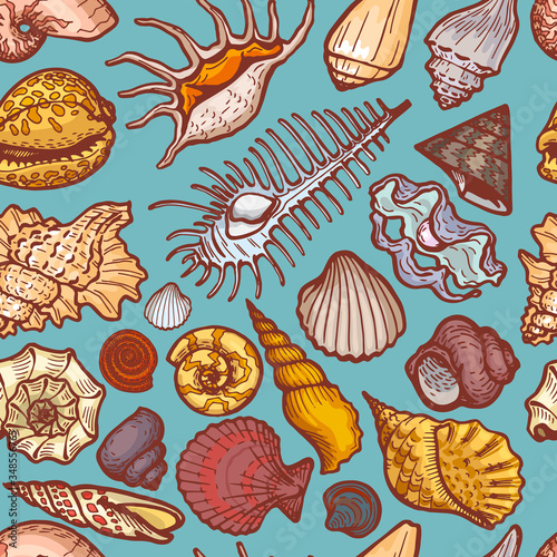 Ocean cockleshell and seashell seamless pattern concept banner, cartoon vector illustration. Sea old dweller, trip explore wildlife. Wrapping paper, celebrate design packaging for travel item, stuff.