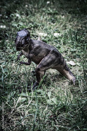 T REX Dinosaurs model on grass background photo