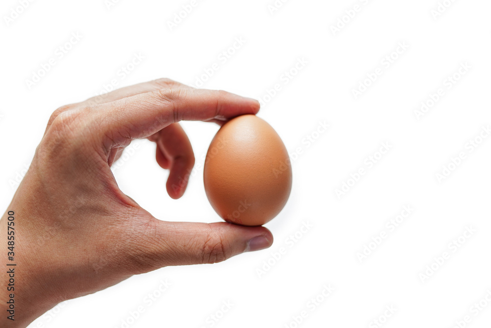 Male hand holding egg isolated on white background. Male hand holding egg isolated on white background.