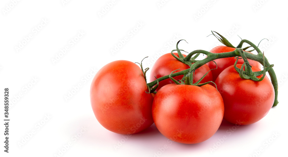 ripe tomatoes on a spout, white insulated background, close-up ripe tomatoes on a spout, white insulated background, close-up