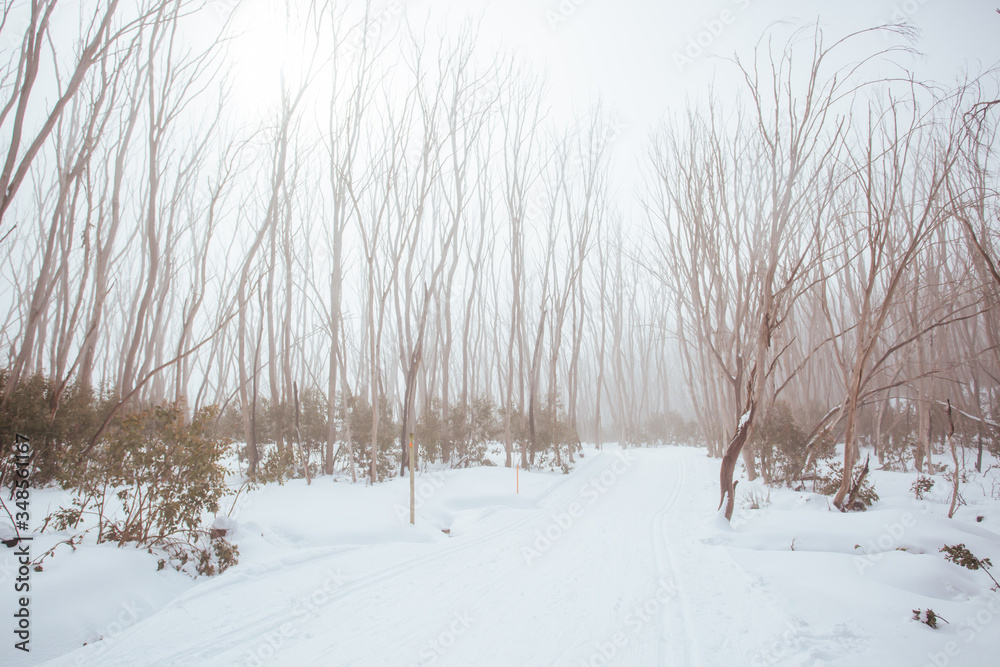 Fototapeta premium Lake Mountain Trails in Australia