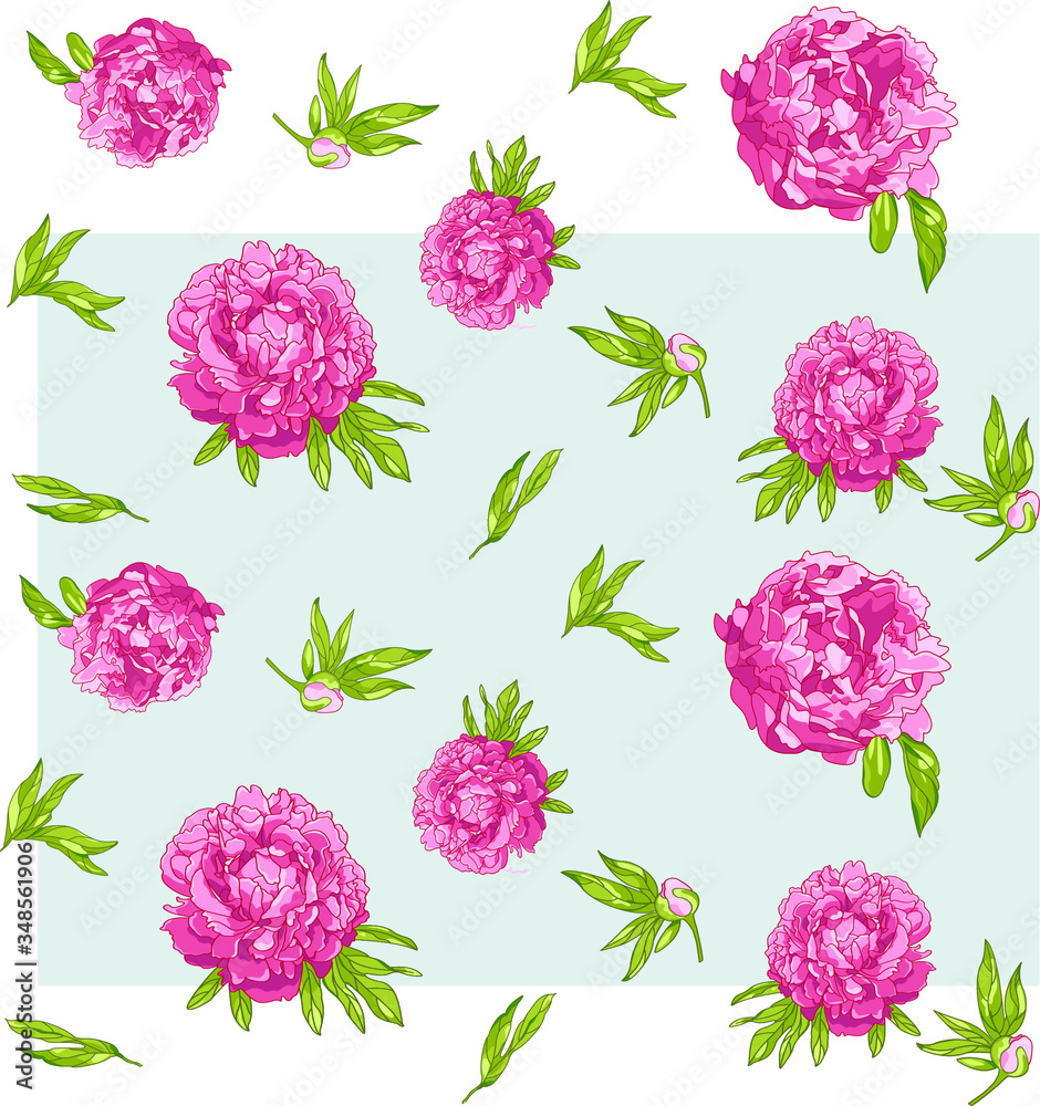 Seamless Vector Pink Peonies Pattern and blosom flowers on splash ...