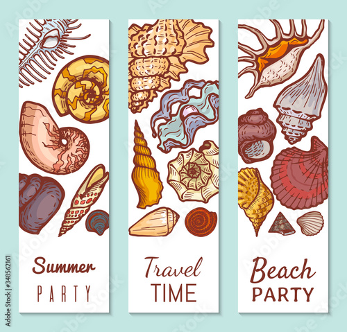 Sea shell poster concept banner, summer party travel time and beach gathering flat vector illustration. Tropical vacation, explore ocean cockleshell flora fauna, relax weekend summer period.