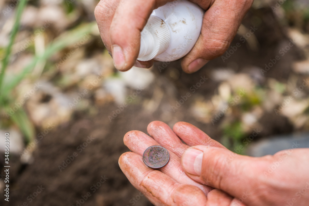 A male archaeologist digger found an old ancient valuable coin in the forest and washes it with a spray. A valuable find in the forest A male archaeologist digger found an old ancient valuable coin in the forest and washes it with a spray. A valuable find in the forest