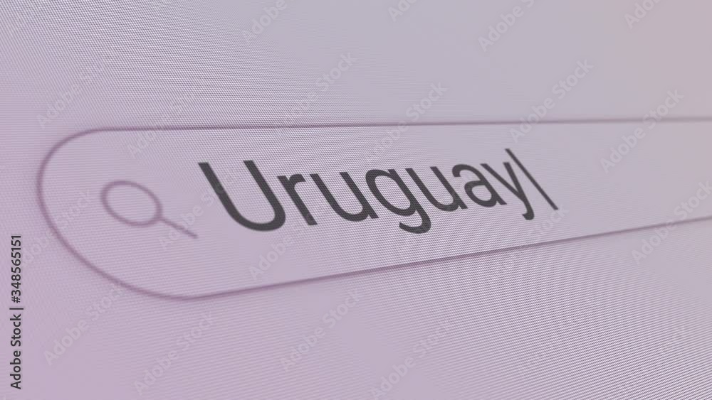 Uruguay Search Bar Close Up Single Line Typing Text Box Layout Web Database Browser Engine Concept