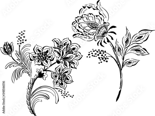 Vector Paisley style flowers on white background