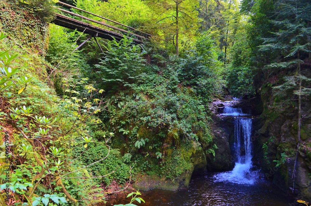 Naklejka premium Black Forest waterfall in Germany